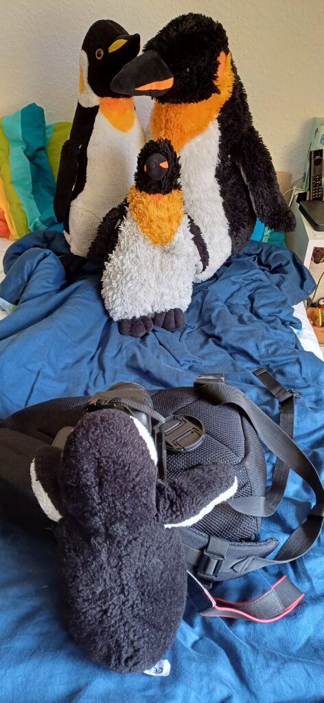 Ugnip macht Fotos mit der SR.Kanea die auf einer Tasche liuegt von 3 großen Pinguinen, die im Bett sitzen.